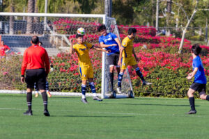 TRAINING! A night w/ Flash FC!